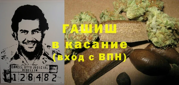прущие грибы Баксан