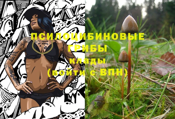 скорость Балахна