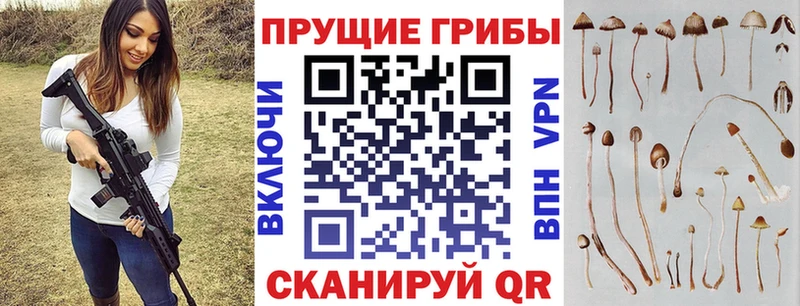 дарнет шоп KRAKEN рабочий сайт Галлюциногенные грибы прущие грибы Кушва